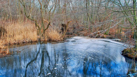 močál swamp modrý